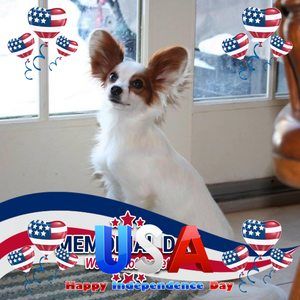 Meet your Posher, Mieke